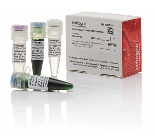 ДНК-полимераза Platinum SuperFi Green DNA Polymerase, Thermo FS