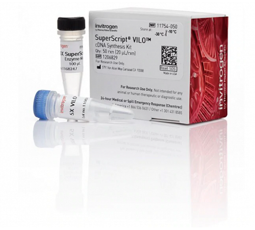 Набор SuperScript VILO cDNA Synthesis Kit, Thermo FS