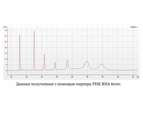 Маркер РНК, RNA 6000, от 200 п.н. до 6000 п.н., 150 мкг/мл, Thermo FS
