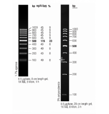 Маркер длин ДНК GeneRuler 100 bp, 10 фрагментов от 100 до 1000 п.н., готовый к применению, 0,5 мкг/мкл, Thermo FS