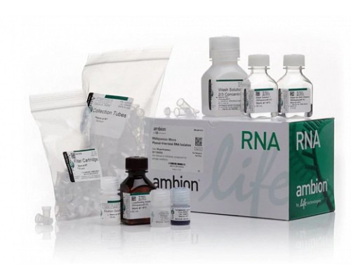 Набор RNAqueous-Micro Total RNA Isolation Kit, Thermo FS