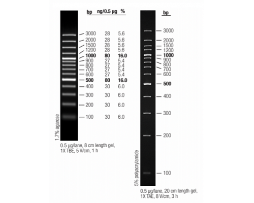Маркер длин ДНК GeneRuler 100 bp Plus, 14 фрагментов от 100 до 1000 п.н., готовый к применению, 0,5 мкг/мкл, Thermo FS